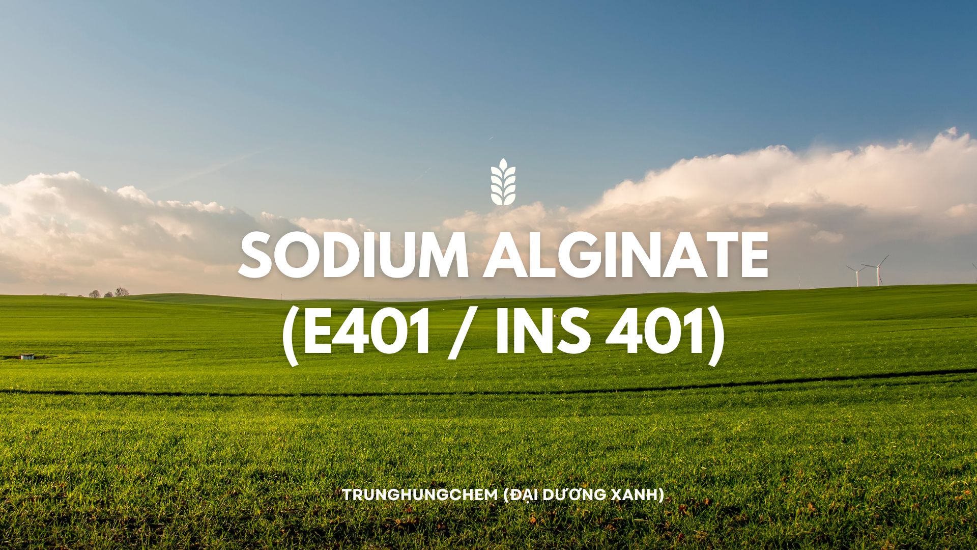 Sodium Alginate (E401/INS 401) - Phụ Gia Không Thể Thiếu Cho Ngành Thực ...